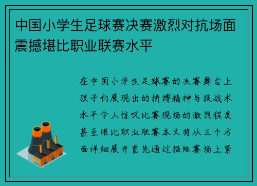 中国小学生足球赛决赛激烈对抗场面震撼堪比职业联赛水平