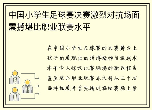 中国小学生足球赛决赛激烈对抗场面震撼堪比职业联赛水平