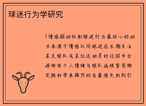 球迷行为学研究